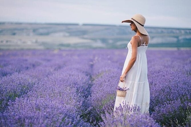 Lavender Fields Full Day Private Tour From Marseille - Good To Know