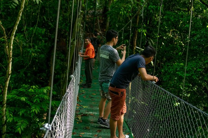 Limón Rainforest Hanging Bridges-Skywalk Tour & Tortuguero Canals - Good To Know