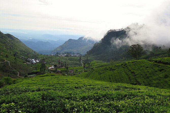 Liptons Seat and Dambatenna Tea Factory From Haputale - Day Tour - Good To Know