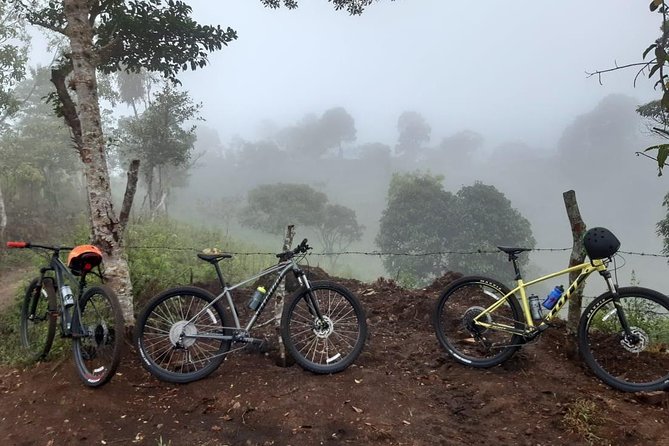 Little Slice of Heaven Route - Good To Know