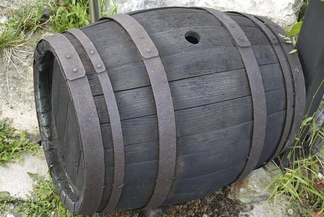Live in the Cider House, the Tradition of the Txotx. - Good To Know