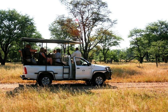 Livingstone Game Drive In The Mosi-Oa-Tunya National Park - Good To Know