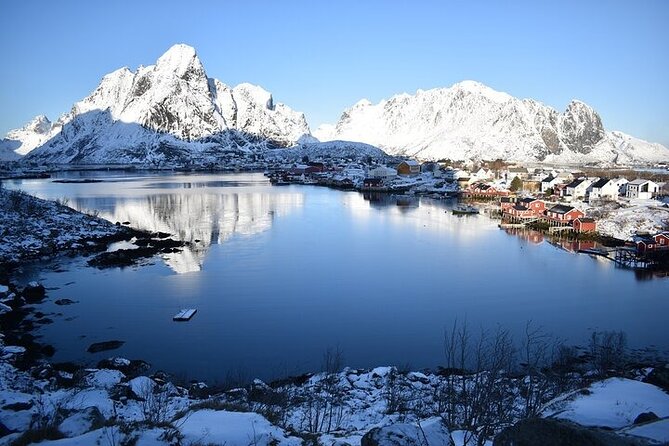Lofoten PRIVATE Tour From Svolvaer - Large Group (5-8 Pax) - Good To Know