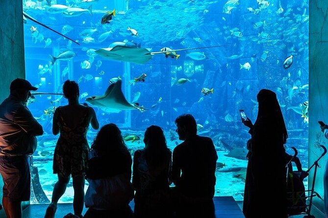 Lost Chambers Aquarium Private Tour With Pick and Drop off - Good To Know