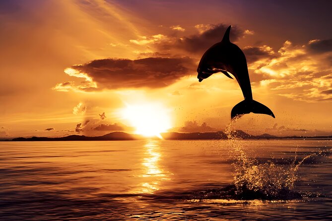 Lovina Sunrise Dolphin Watching and North Bali Tour - Good To Know