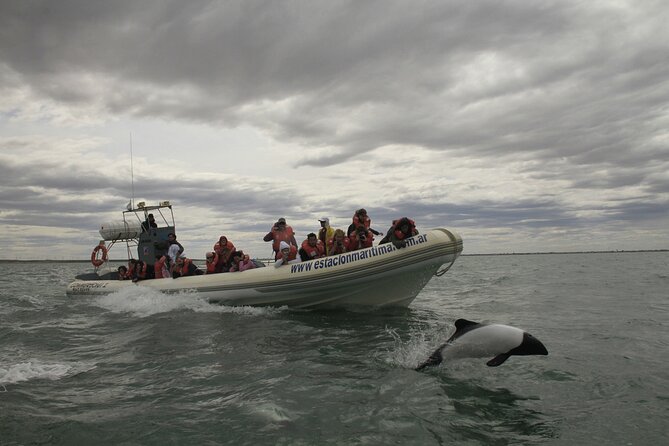 Lower Valley of the Chubut River With Dolphins Boat Watching - Good To Know