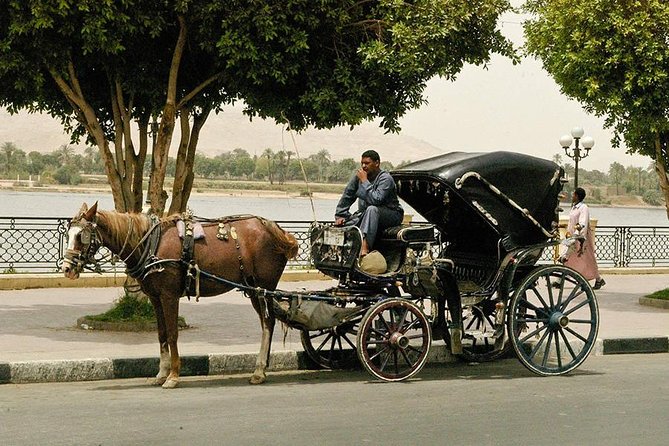 Luxor City Tour By Horse Carriage - Good To Know