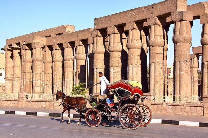 Luxor City Tour by Horse Carriage - Good To Know