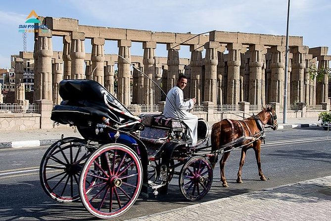 Luxor City Tour By Horse Carriage in Egypt - Good To Know
