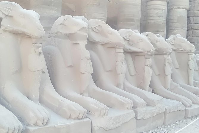 Luxor East Bank Half Day Tour - Logistics and Meeting Points