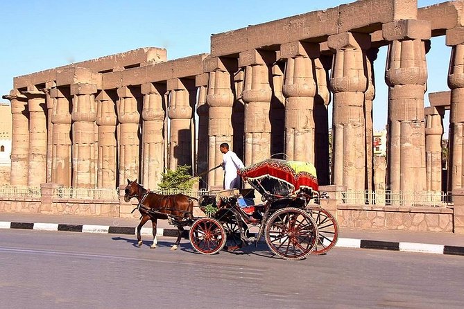 Luxor: Horse-Drawn Carriage City Tour From West Bank - Good To Know