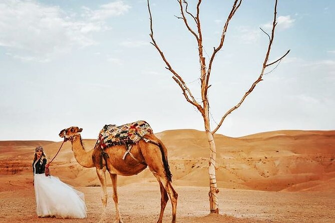 Luxury Private Day Trip of Agafay Desert & Atlas Mountains With Camel Ride - Good To Know