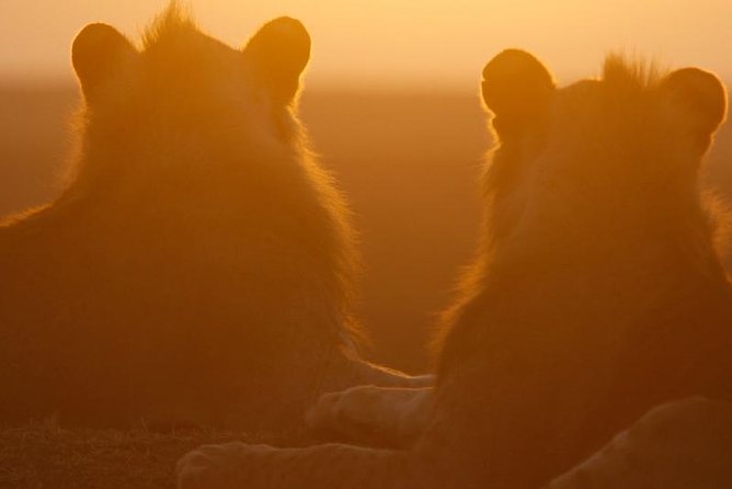 Maasai Mara Migration Safari