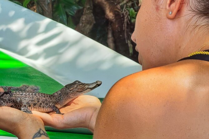 Madu River Safari From Hambantota - Good To Know