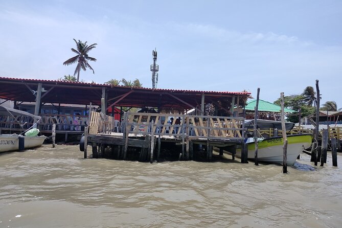 Magdalena River and Bocas De Cenizas Tour - Good To Know