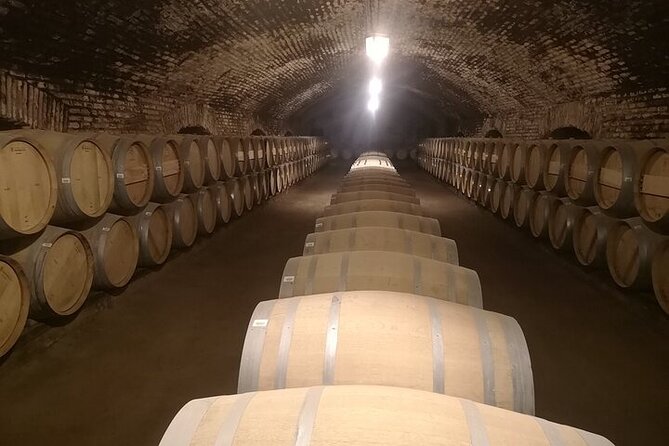 Main Winery of Chile Plus Bahai Temple of South America Day Tour - Good To Know