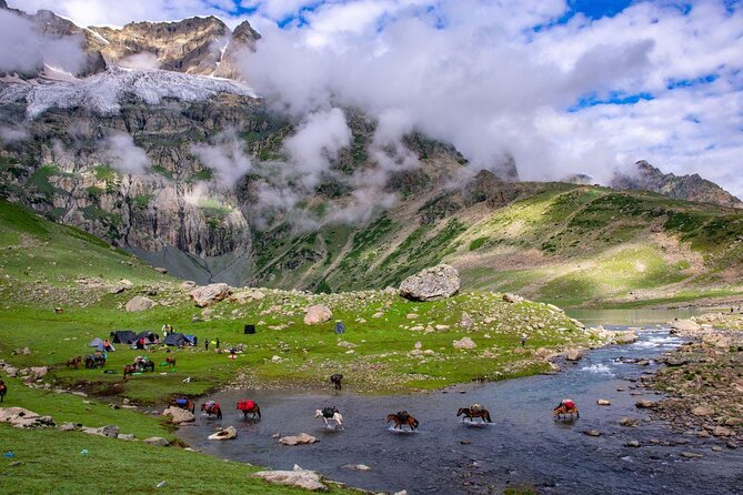 Majestic Sonamarg: a Day Trip to the Meadow of Gold From Srinagar - Good To Know