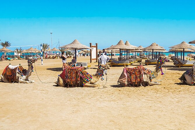 Makadi Bay Camel Ride Experience - Good To Know