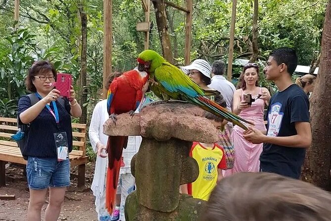 Manawakie Wildlife Sanctuary and Macaw Market - Good To Know