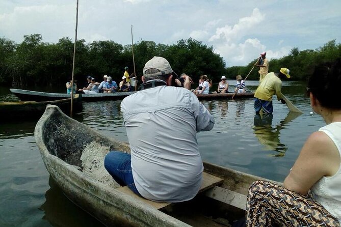 Mangroves and Fishing Show - Good To Know
