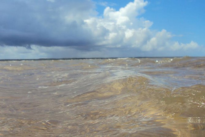 Marinho Da Coroa Alta Park Nautical Tour and Mud Bath From Porto Seguro - Good To Know