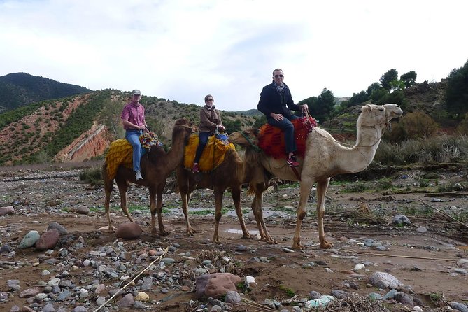 Marrakech: Day Trip to the Berber Villages and 3 Valleys Tour - Good To Know