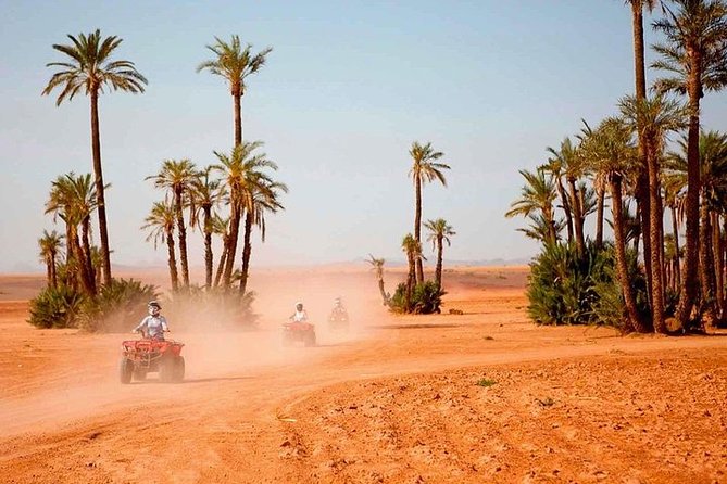 Marrakech: Half-Day Desert Quad & Dromedary Tour - Good To Know