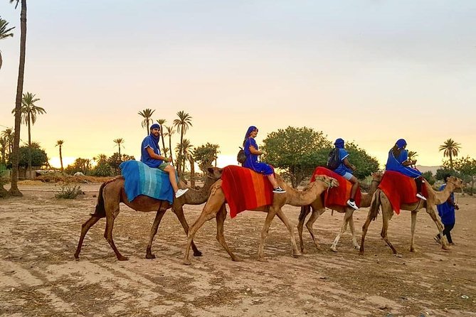 Marrakech Palmerie By Camel Ride - Good To Know