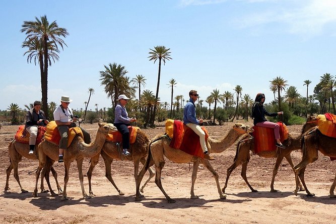 Marrakech Private Tour With Camel Ride in Palmeraie - Good To Know