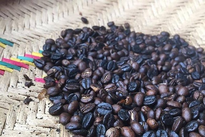 Materuni Waterfalls & Coffee Tour - Good To Know