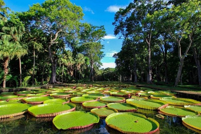 Mauritius Private North Tour (Slightseeing) - Good To Know