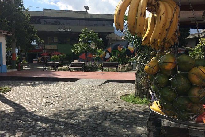 Medellin City, Markets and Local Food Full Day Tour - Good To Know