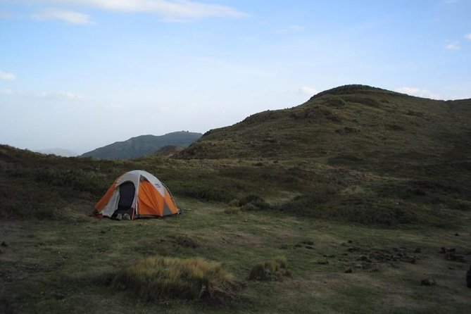 Menz Guassa Trekking 5 Days Tour Package - Good To Know