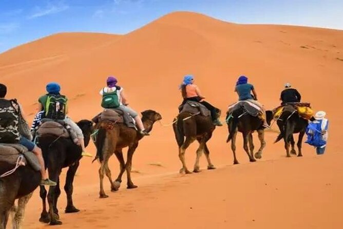 Merzouga Wild Luxury Desert Cam - Good To Know
