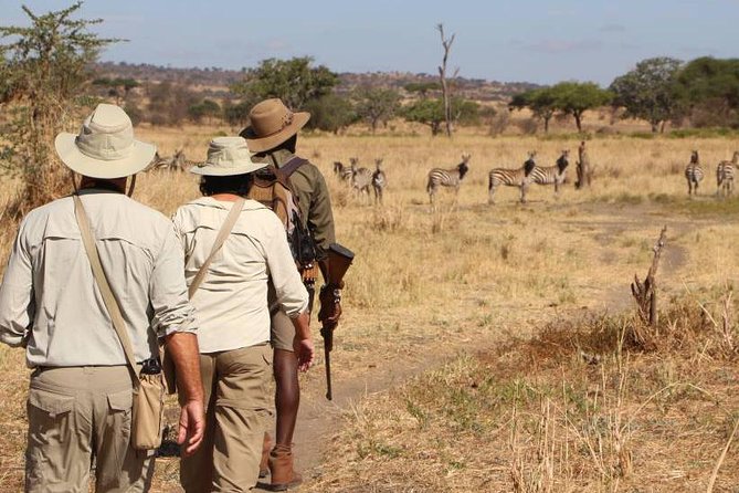 Mikumi National Park Walking And Game Drive Safari From Morogoro - Good To Know
