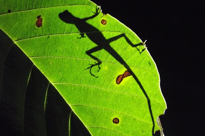 Mindo Cloud Forest (PRIVATE Day Trip) - Good To Know