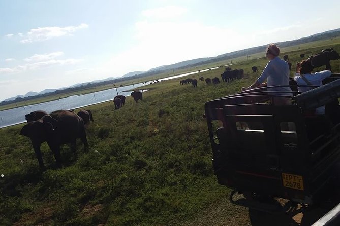 Minneriya National Park Jeep Safari And Sigiriya Tour - Good To Know