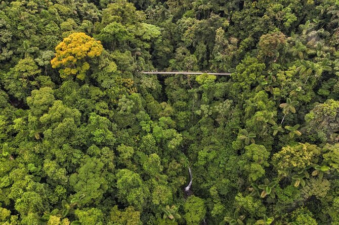 Mistico Natural History Walk(Hanging Bridges) - Good To Know