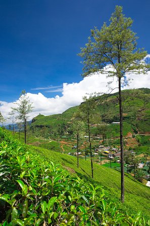 Misty Mountain Trails From Hikkaduwa (2 Days) - Itinerary Highlights