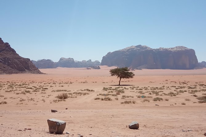 Mix Trip Jeep, Camel Tour And Overnight in the Camp - Good To Know
