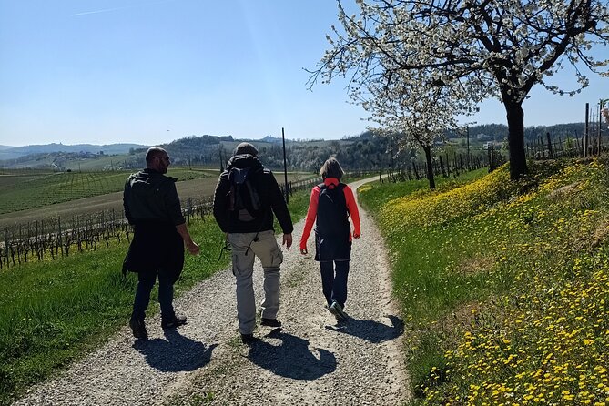 MONFERRATO UNESCO PRIVATE WALKING Experience-PRIVATE Guided Tour - Good To Know