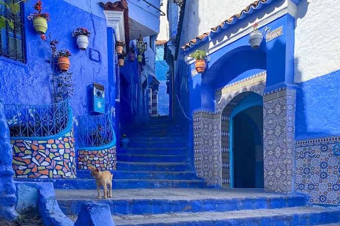 Morocco in Private: Tangier and the Blue Chefchaouen in One Day - Good To Know