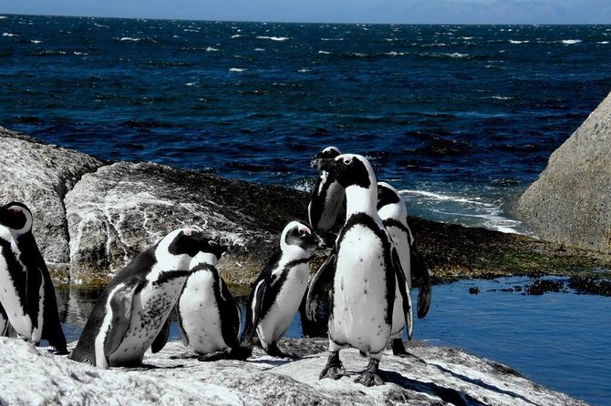 Mother City Cape Town 3-Day Attraction:Township & Cape Peninsula & Wine Tasting - Good To Know