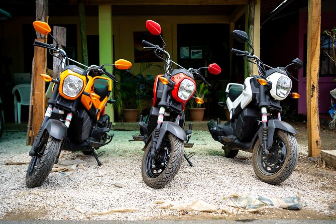 Moto Rentals in Playa Potrero and Flamingo - Good To Know