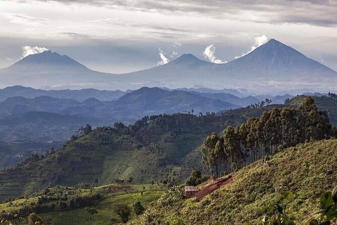 Mount Bisoke Hiking Adventure From Kigali - Good To Know