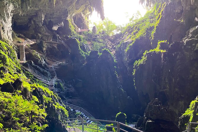 Mountain Biking Gold Mine Full-Day Tour