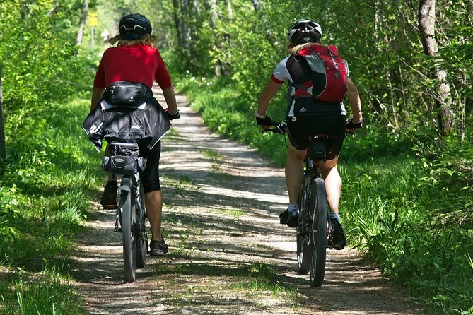 Mountain Biking in the Forest - Good To Know