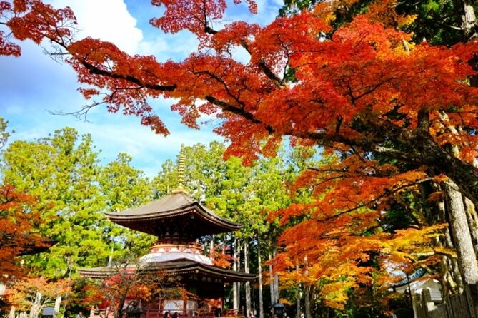 Mt Koya Autumn Leaves and Orange Picking 1Day Bus Tour From Osaka - Good To Know