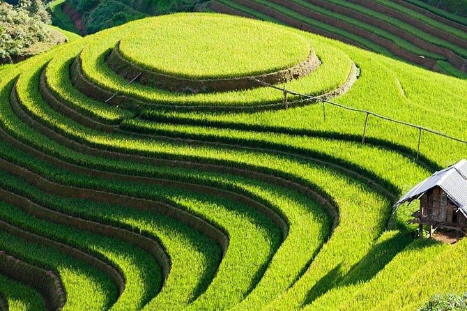 Mu Cang Chai Trekking 4 Days 3 Nights - Good To Know
