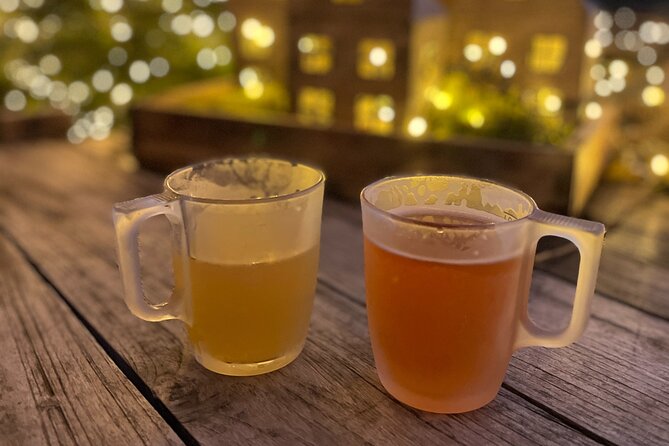 Mulled Wine Walk Around Karlsruhe Castle - Good To Know